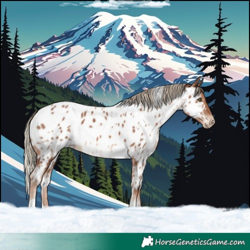 Horse Color:White Spotted Chestnut Mushroom Near Leopard 