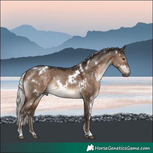 Horse Color:White Spotted Silver Brown Dun 