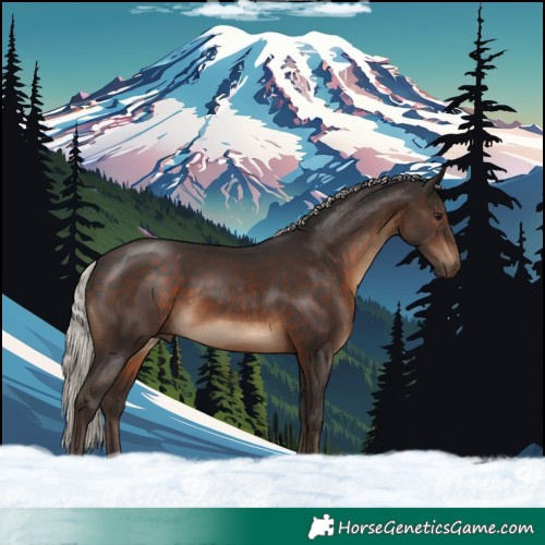Horse Color:Silver Brown