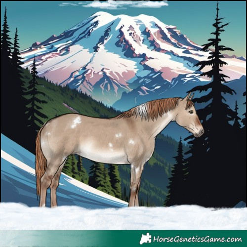 Horse Color:White Spotted Liver Red Dun