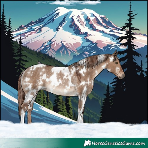 Horse Color:White Spotted Liver Red Dun Rabicano