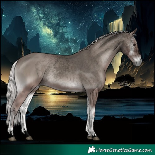 Horse Color:Void Platinum Silver Blue Onyx