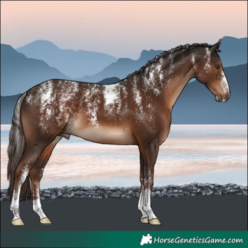 Horse Color:Powder White Liver Chestnut