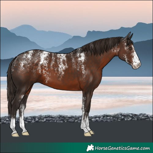 Horse Color:Powder White Liver Chestnut