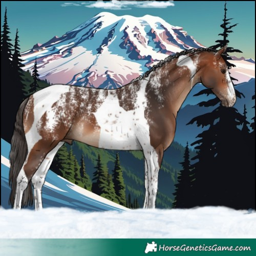 Horse Color:Powder White Bay Tobiano