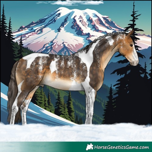 Horse Color:Powder White Buckskin Tobiano