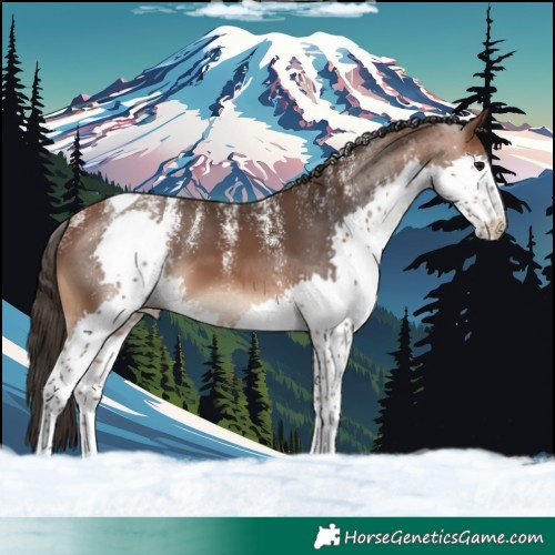 Horse Color:Powder White Bay Splash Tobiano