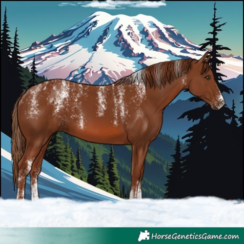 Horse Color:Powder White Chestnut
