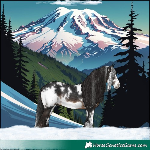 Horse Color:Gray White Spotted Brown Frame Rabicano
