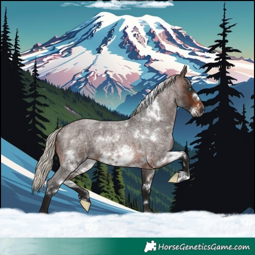 Horse Color:Gray White Spotted Silver Brown Roan Frame Rabicano