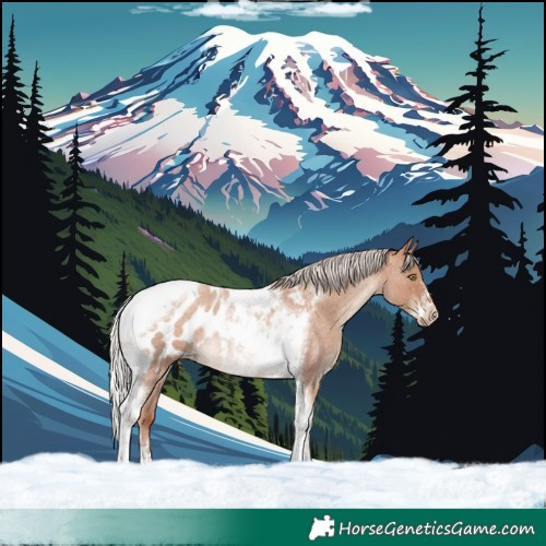Horse Color:Silver Sable Champagne Roan Tobiano Frame Near Leopard Rabicano