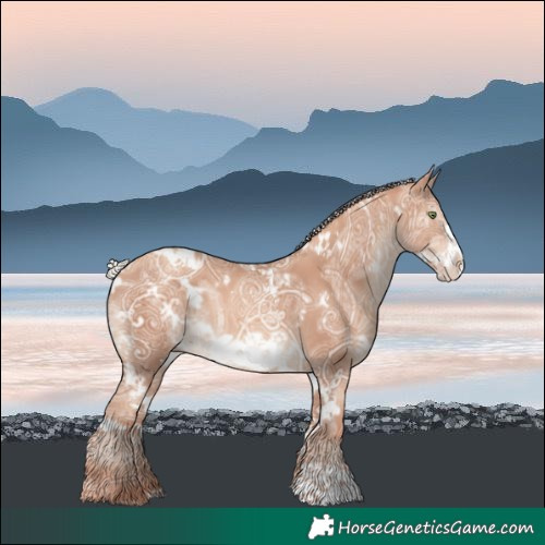 Horse Color:White Spotted Silver Sable Champagne Ice Frame Rabicano