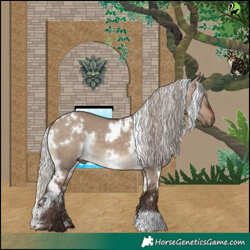 Horse Color:White Spotted Silver Brown Dun