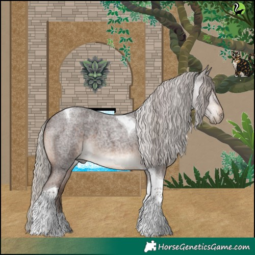 Horse Color:Silver Brown Roan Tobiano