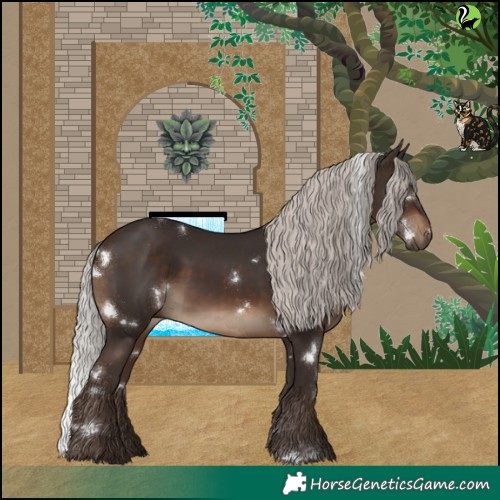 Horse Color:White Spotted Silver Brown 