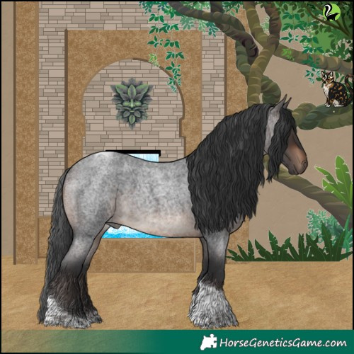 Horse Color:Brown Roan Tobiano