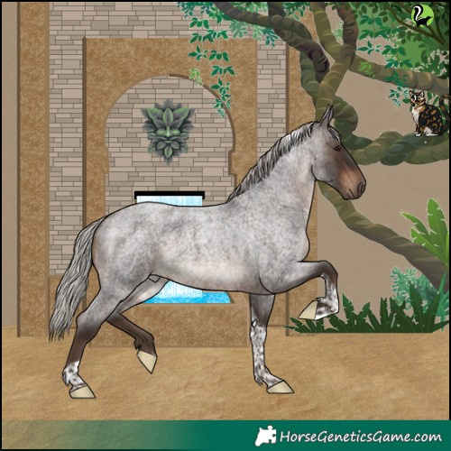 Horse Color:Silver Brown Roan Tobiano
