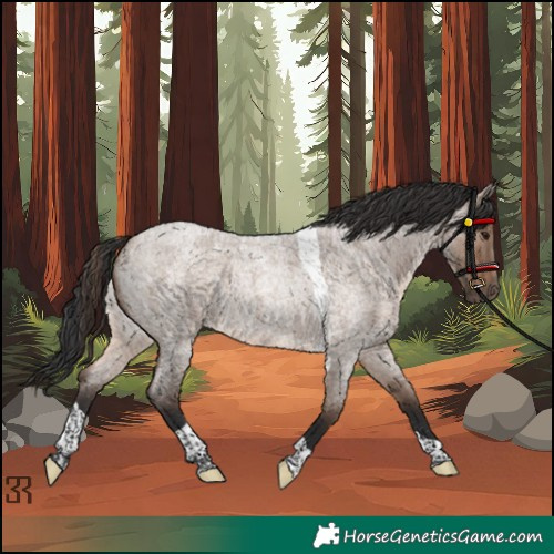 Horse Color:Brown Roan Dun Tobiano Rabicano 