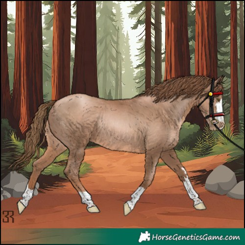 Horse Color:Liver Chestnut Pearl Rabicano 
