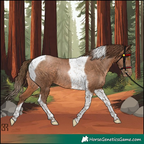 Horse Color:Brown Pearl Tobiano Rabicano