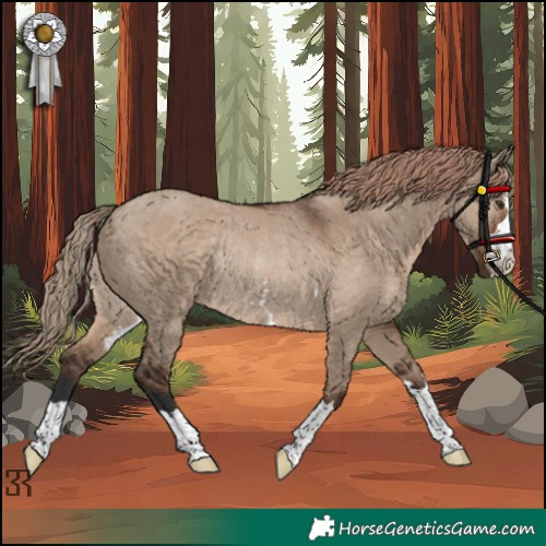 Horse Color:Liver Red Dun Rabicano