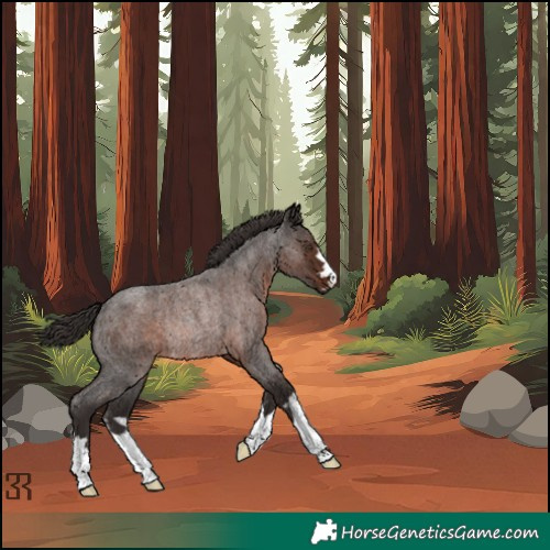 Horse Color:Liver Red Roan Rabicano 