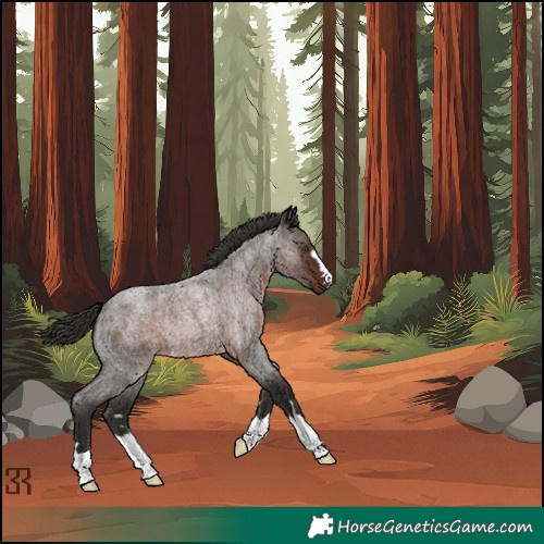 Horse Color:Liver Red Roan Rabicano 