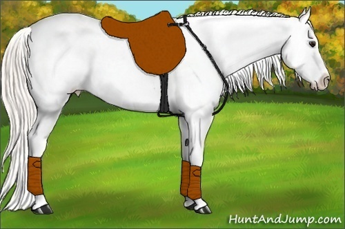 Horse Color:Silver Bay Appaloosa Rabicano 