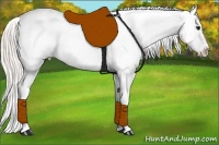 Horse Color:Silver Bay Appaloosa Rabicano 