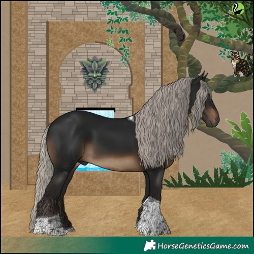 Horse Color:Gray Silver Brown Tobiano