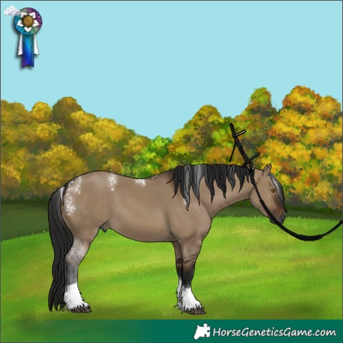 Horse Color:Powder White Gray Brown Dun Tobiano