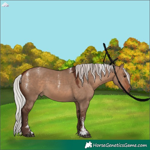 Horse Color:Powder White Silver Brown Dun