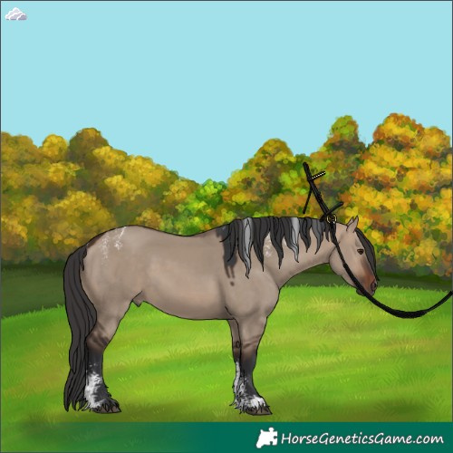 Horse Color:Powder White Brown Dun 