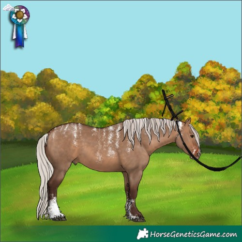Horse Color:Powder White Silver Brown Dun