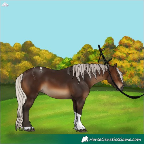 Horse Color:Powder White Gray Silver Brown Tobiano 