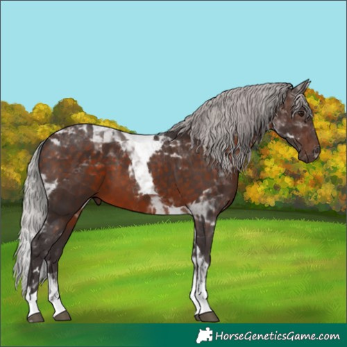 Horse Color:Silver Brown Mushroom Tobiano