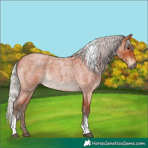 Horse Color:Silver Bay Roan Tobiano 