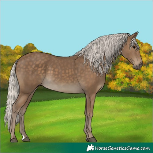 Horse Color:Silver Smoky Black
