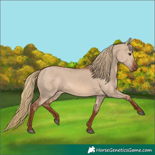 Horse Color:Red Dun