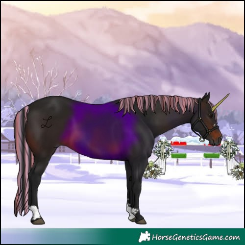 Horse Color:Gray Painted Brown