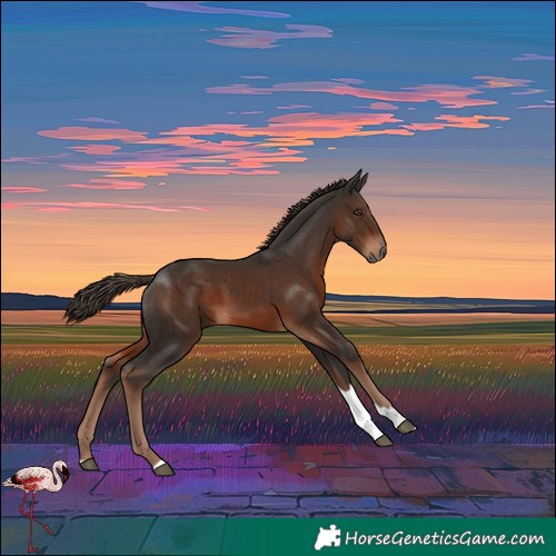 Horse Color:Liver Chestnut Tobiano 