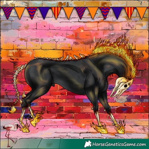 Horse Color:Black 