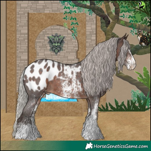 Horse Color:Silver Brown Sabino Blanket 