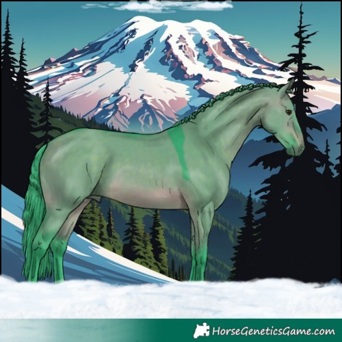 Horse Color:Watercolor Brown Dun