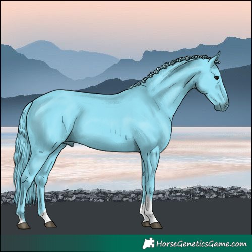 Horse Color:Watercolor Black Tobiano Rabicano