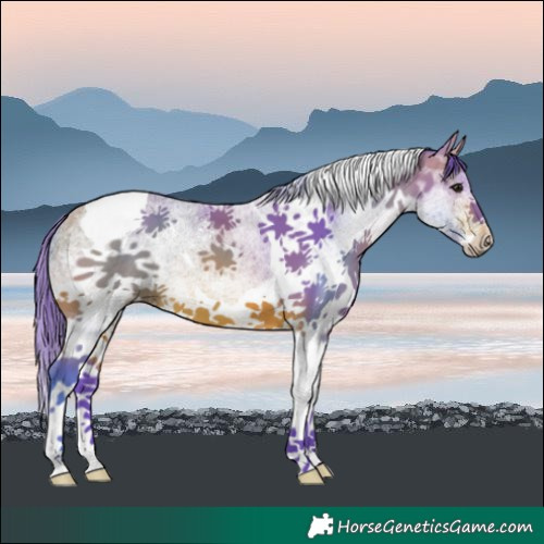 Horse Color:Watercolor White Spotted Bay Tobiano