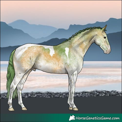 Horse Color:Watercolor White Spotted Bay Tobiano