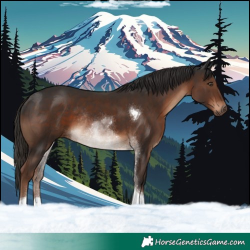 Horse Color:Liver Chestnut Tobiano Rabicano 