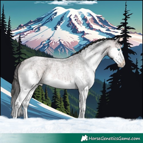Horse Color:Brown Roan Splash Varnish Rabicano
