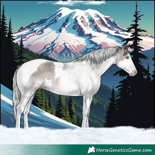 Horse Color:Silver Blue Roan Splash Tobiano Varnish 
